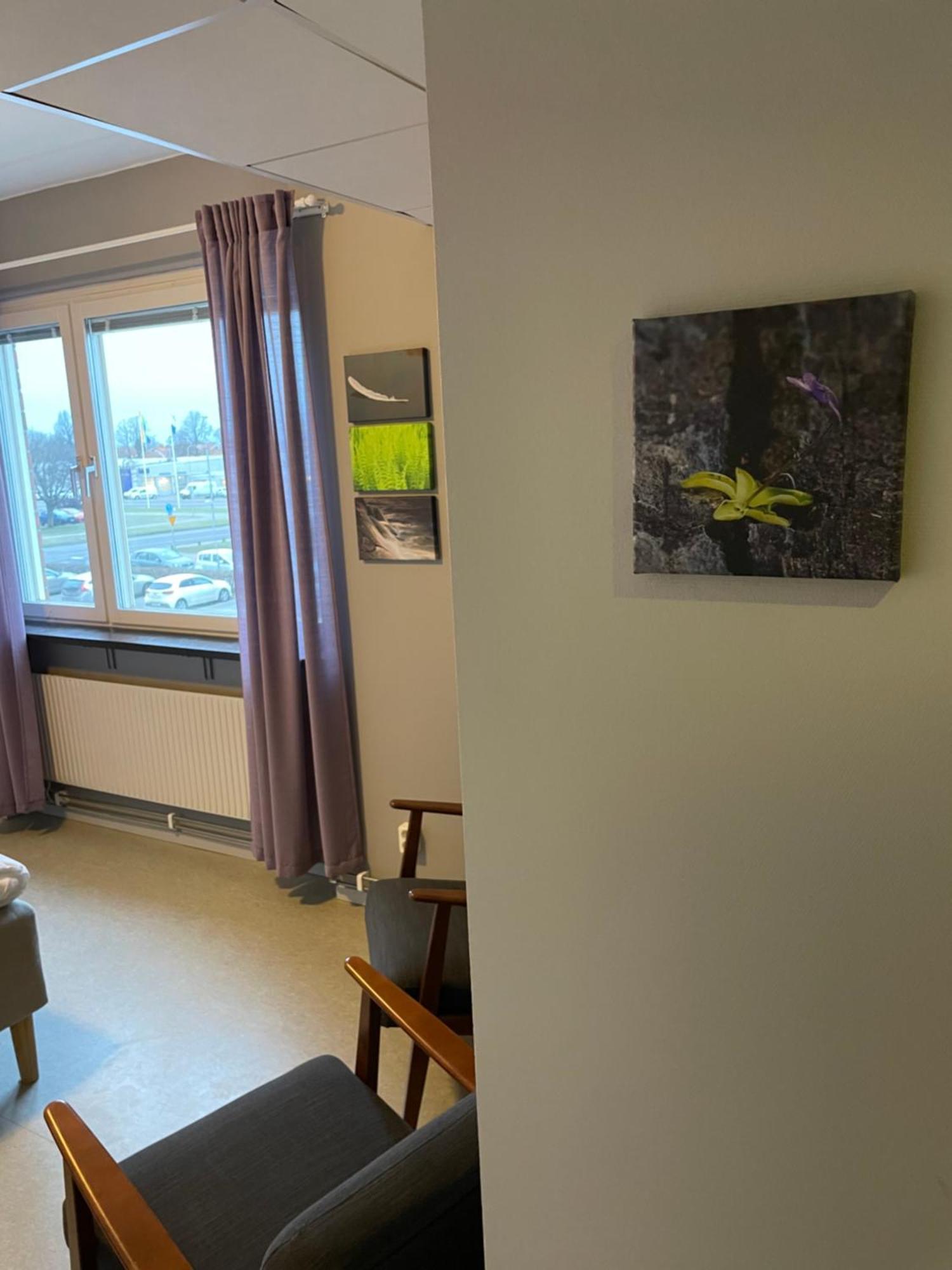 Broholm Bed&Breakfast Lidköping Cameră foto